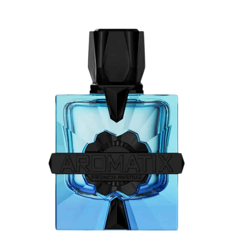 French Avenue Aromatix Magnetiq erkek parfüm şişesi