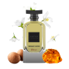 ANFAR 1950 Midnight Homme Intense erkek parfüm şişesi